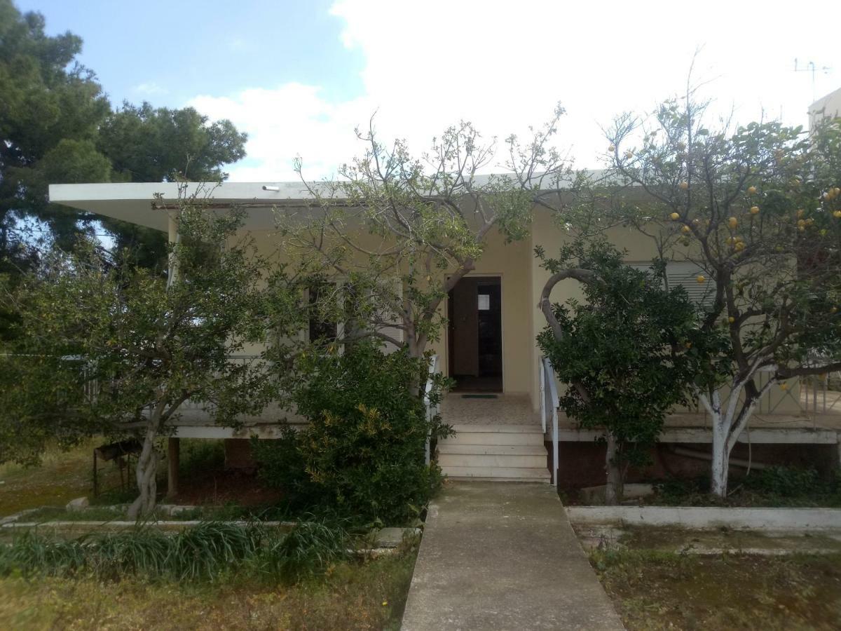Vangelis House Near Athens Airport Artemida  Zewnętrze zdjęcie