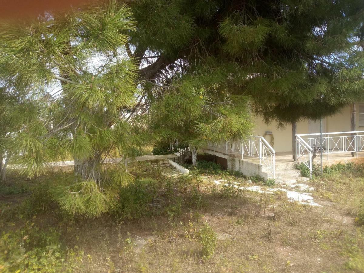 Vangelis House Near Athens Airport Artemida  Zewnętrze zdjęcie